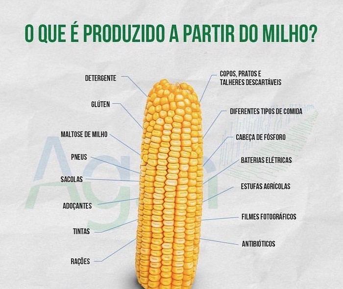 Diagrama

Descrição gerada automaticamente