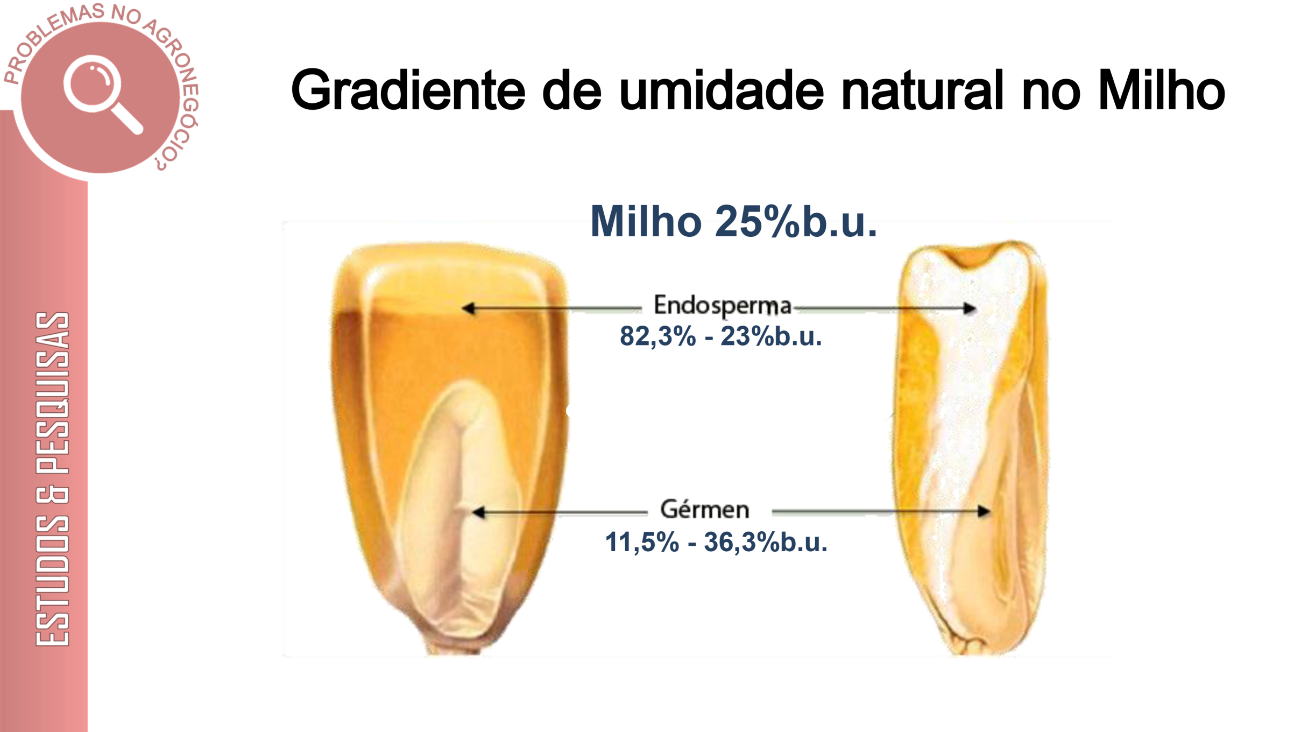 Diagrama

Descrição gerada automaticamente